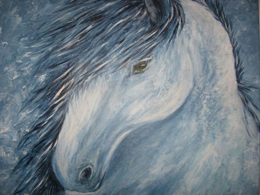 Lise Holm hest